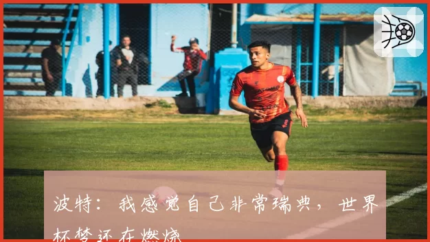 波特：我感觉自己非常瑞典，世界杯梦还在燃烧