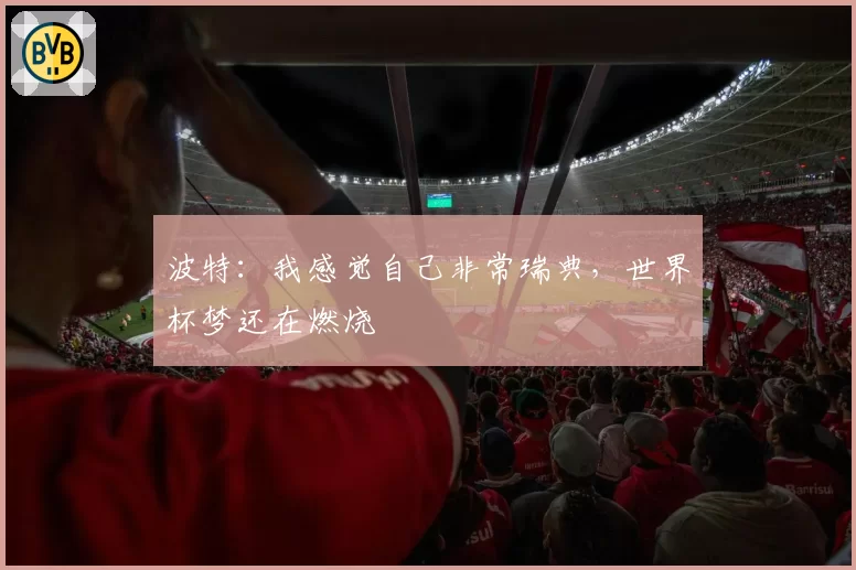 波特：我感觉自己非常瑞典，世界杯梦还在燃烧